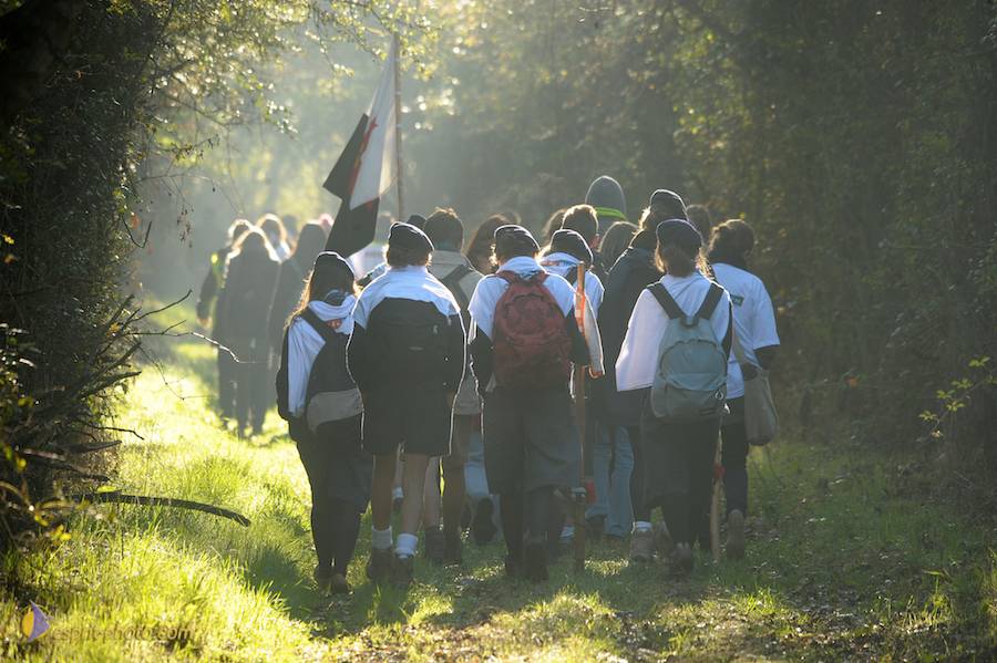 Nom de l'image : D30082999_1_(c)Norbert-JUNG — Description :